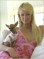 Paris HILTON